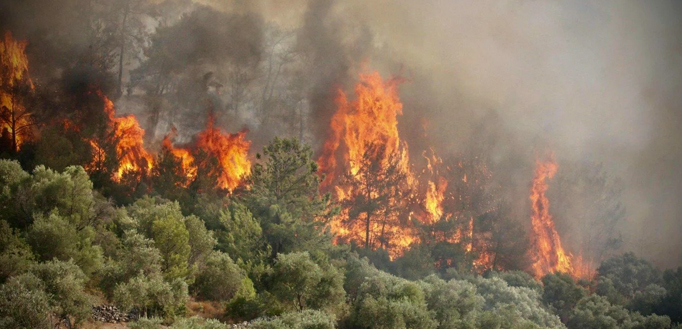 Taizhou Jun'an Fire Technology Co., Ltd.